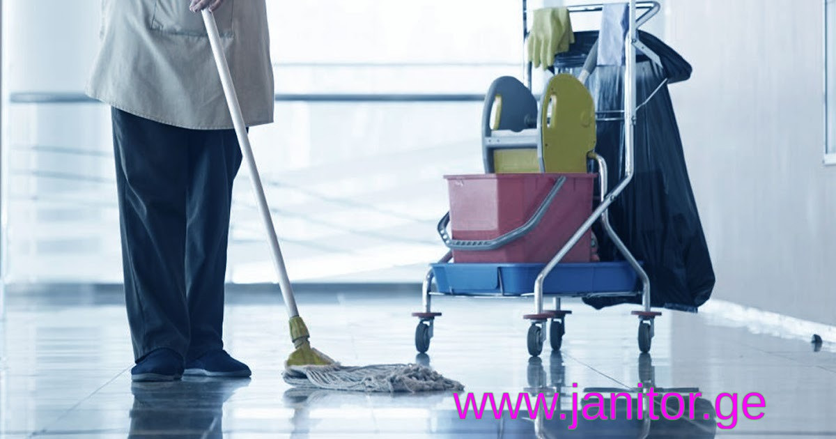 აღმოაჩინეთ სახლის მოწესრიგების ხელოვნება - სახლის დალაგება